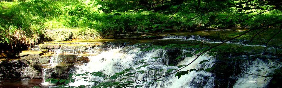 A quiet and tranquil site nestled in beautiful Shaw Gyhll, High Shaw, 
Simonstone, Hawes, North Yorkshire and is surrounded by the magnificent Dales fells in 
the heart of Upper Wensleydale.