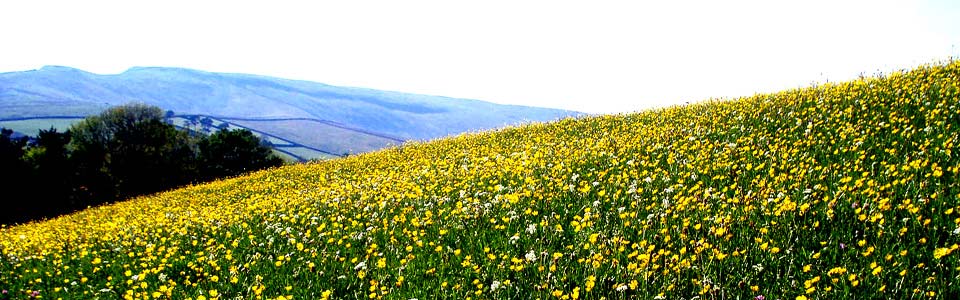 A quiet and tranquil site nestled in beautiful Shaw Gyhll, High Shaw, 
Simonstone, Hawes, North Yorkshire and is surrounded by the magnificent Dales fells in 
the heart of Upper Wensleydale.