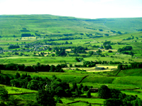 A quiet and tranquil site nestled in beautiful Shaw Gyhll, High Shaw, 
Simonstone, Hawes, North Yorkshire and is surrounded by the magnificent Dales fells in 
the heart of Upper Wensleydale.